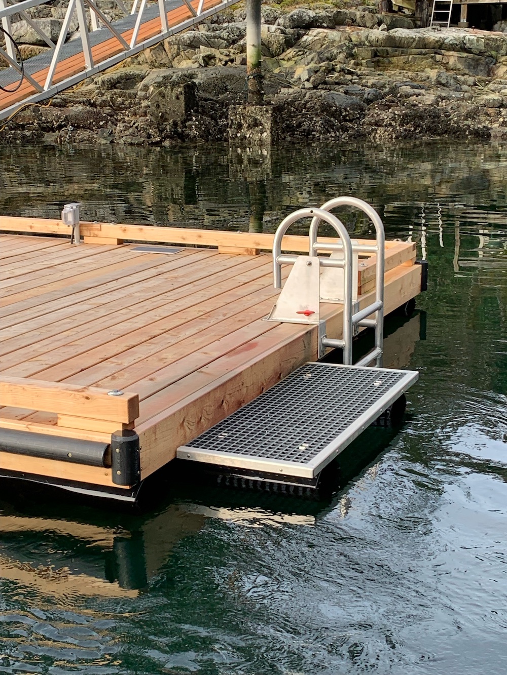 Dock with a swim grid